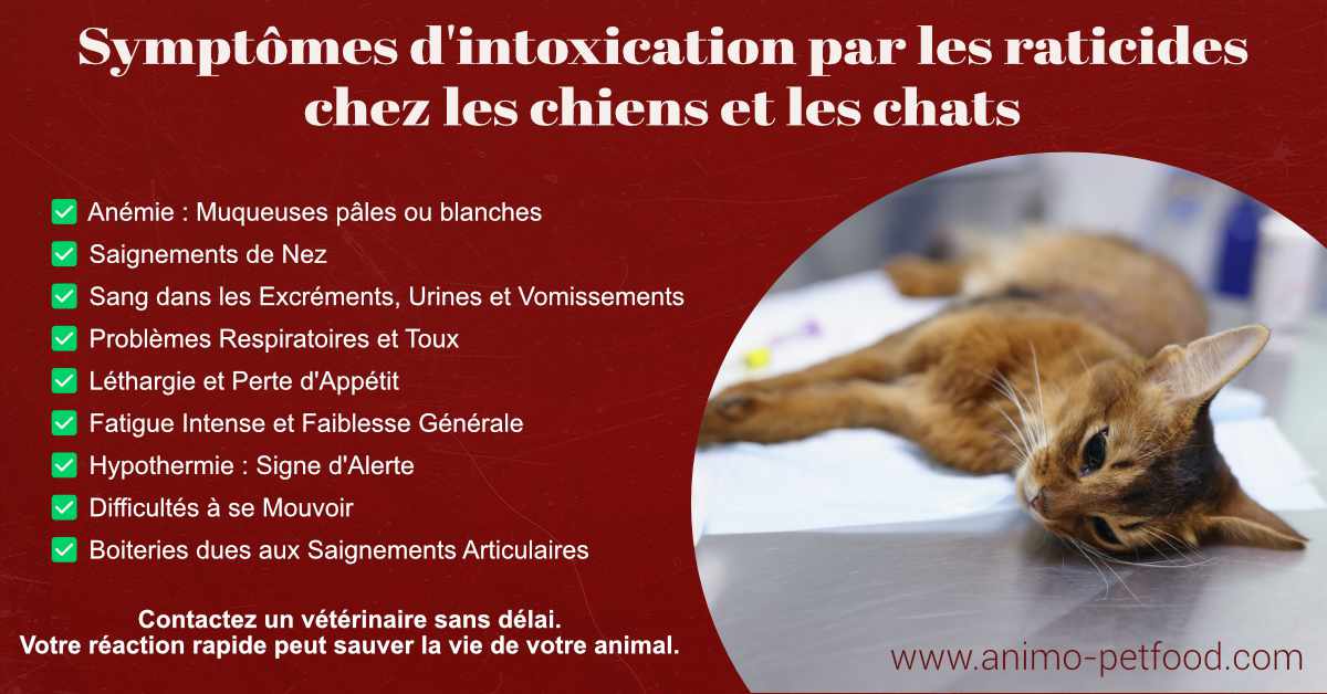 symptomes-d-intoxication-par-les-raticides-chez-les-chiens-et-les-chats